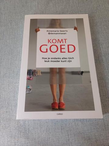 Annemarie Geerts - Komt goed boek