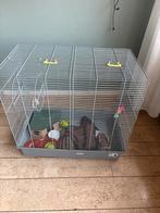 Hamster/ rattenkooi, Minder dan 60 cm, Minder dan 75 cm, Ophalen of Verzenden, Rat
