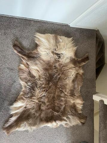 Heel mooi plaid van echte rendierhuid beschikbaar voor biedingen