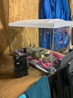 Aquarium + schoonmaak accessoires, Ophalen of Verzenden, Zo goed als nieuw, Filter of Co2