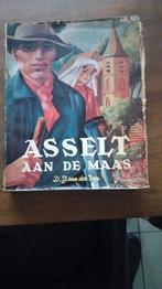 Boek Asselt aan de maas, Boeken, Geschiedenis | Stad en Regio, Ophalen of Verzenden, 20e eeuw of later, Gelezen