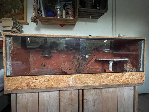 Terrarium incl veel accessoires, Dieren en Toebehoren, Reptielen en Amfibieën | Toebehoren, Zo goed als nieuw, Terrarium of Paludarium