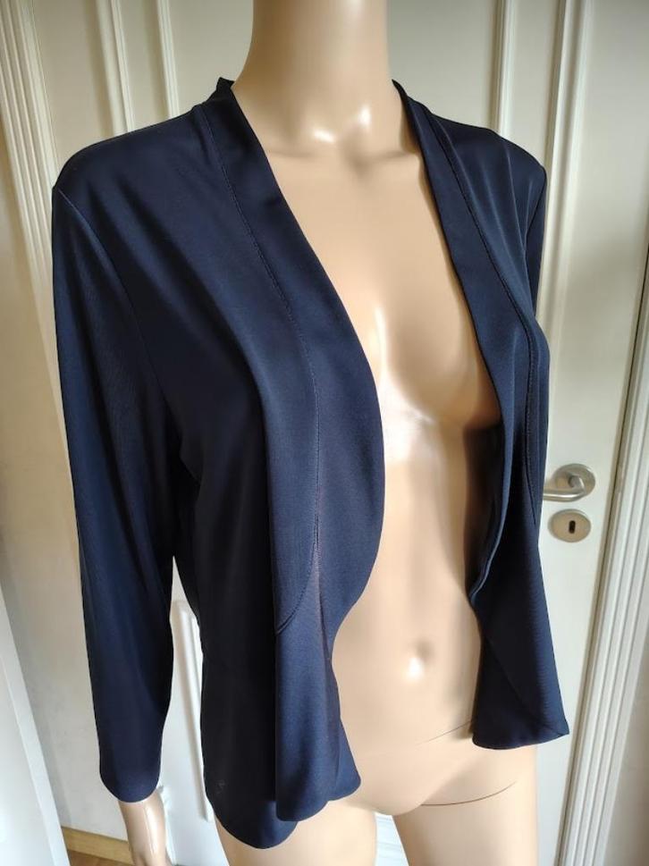 Blouse van mayerline, Kleding | Dames, Blouses en Tunieken, Zo goed als nieuw, Maat 42/44 (L), Blauw, Verzenden