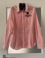 Gaastra overhemd XXXL - valt als XXL, Maat 46/48 (XL) of groter, Ophalen of Verzenden, Gedragen, Overige kleuren