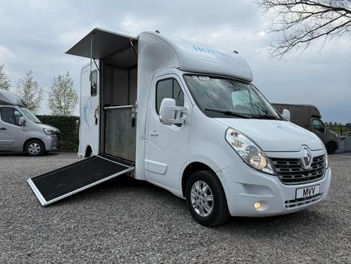 RENAULT MASTER PAARDENWAGEN SODIAK 2020 STALLION 3XL 58d KM, Dieren en Toebehoren, Paarden en Pony's | Trailers en Aanhangwagens