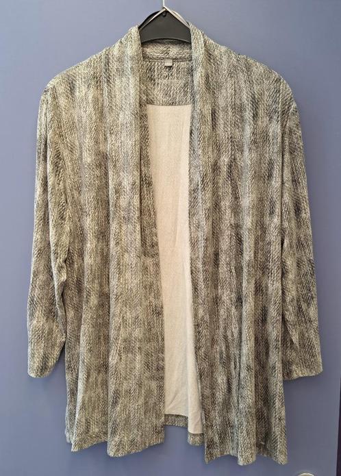 Rabe vestje dun materiaal grijs tinten openvallend 46 48289, Kleding | Dames, Truien en Vesten, Zo goed als nieuw, Maat 42/44 (L)