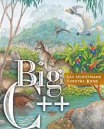 Big C++, Ophalen, Zo goed als nieuw, Programmeertaal of Theorie, Cay Horstmann
