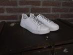 Witte leren Tommy Hilfiger Sneakers Maat 37, Kleding | Dames, Schoenen, Wit, Ophalen of Verzenden, Tommy Hilfiger, Sneakers of Gympen