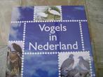 Complete Pfr serie met 74 st. stroken van 4 Vogels in Ned., Postzegels en Munten, Postzegels | Nederland, Ophalen of Verzenden