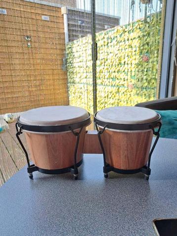 Bongo beschikbaar voor biedingen