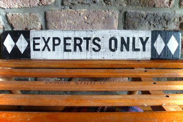 Handgeschilderd wintersport bord / Après Ski / Experts Only, Huis en Inrichting, Woonaccessoires | Wanddecoraties, Zo goed als nieuw