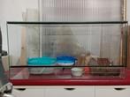 Mooie terrarium voor hamsters, Dieren en Toebehoren, Kooi, Minder dan 75 cm, Zo goed als nieuw, Ophalen