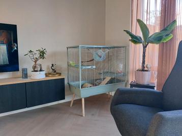 Zolux knaagdierenkooi 100 xl  beschikbaar voor biedingen