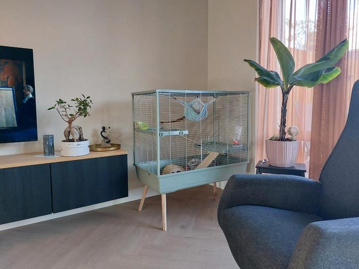 Zolux knaagdierenkooi 100 xl, Dieren en Toebehoren, Knaagdieren en Konijnen | Hokken en Kooien, Nieuw, Kooi, Minder dan 60 cm