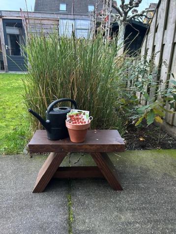 Douglas krukje I Ideaal voor buiten beschikbaar voor biedingen