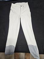 Winter paard rijbroek maat 134-140, Dieren en Toebehoren, Paardrijkleding, Ophalen, Kinderen, Dressuur, Onderkleding