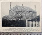 Treebeek, pruimenboom in tuin dhr. Haski in 1926 origineel, Verzenden