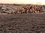 Haardhout/brandhout., Tuin en Terras, Haardhout, 6 m³ of meer, Ophalen of Verzenden, Essenhout, Blokken