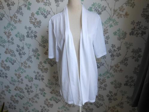 Leuk vest met een werkje en wat glimmende stof, Kleding | Dames, Truien en Vesten, Zo goed als nieuw, Maat 46/48 (XL) of groter