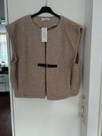 Teddy bodywarmer ambika maat one size, Kleding | Dames, Bodywarmers, Beige, Maat 42/44 (L), Nieuw, Ophalen of Verzenden