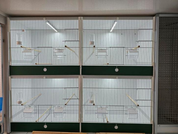 Hele mooie Heesakkers kooien, Dieren en Toebehoren, Vogels | Hokken en Kooien, Zo goed als nieuw, Broedkooi of Kweekkooi, Kunststof