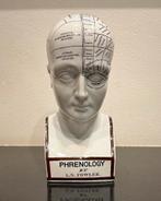 Phrenology by L.N. Fowler., Ophalen of Verzenden, Zo goed als nieuw, Mens