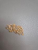 Biologische paprika zaden - california wonder 10 voor € 0,75, Ophalen of Verzenden