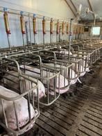 Van Osch korfboxen [538], Boekhorst Trading, Info@boekhorsttrading.com, Singel 16, Horssen