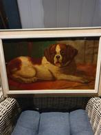 Schilderij van een Sint Bernard hond mooi schilderij, Ophalen of Verzenden