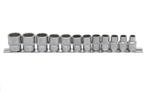 DOPPENSET 3/8" 8-19 MM 12-KANT 12-DELIG, Auto diversen, Autogereedschap, Ophalen of Verzenden, Nieuw