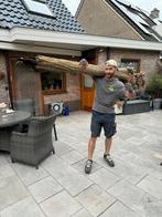 Tuinman Gardener Nieuwegein/Breda, Diensten en Vakmensen, Tuinmannen en Stratenmakers