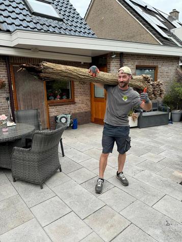 Tuinman Gardener beschikbaar voor biedingen