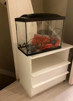 Aquarium (met of zonder kast), Dieren en Toebehoren, Reptielen en Amfibieën | Toebehoren, Ophalen, Zo goed als nieuw