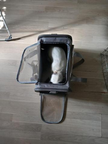 Reismand geschikt voor kleine hond of kat (tot 5kg) beschikbaar voor biedingen