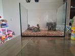 Vissenkom / bak, Ophalen, Zo goed als nieuw, Leeg aquarium