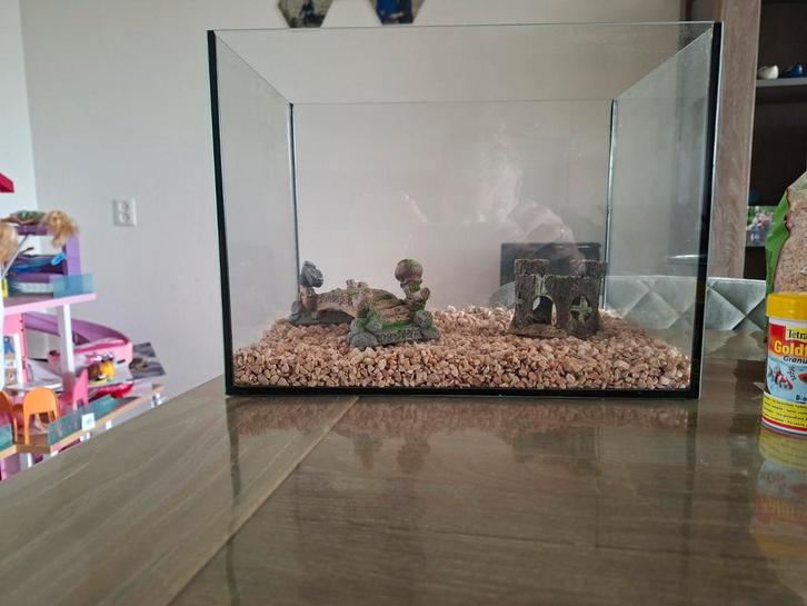 Vissenkom / bak, Dieren en Toebehoren, Vissen | Aquaria en Toebehoren, Zo goed als nieuw, Leeg aquarium, Ophalen