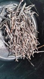 60/40 soldeer tin kopersoldeer glas in lood 5 kg, Gebruikt, Minder dan 80 cm, Minder dan 80 cm, Ophalen of Verzenden