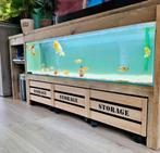 Tv meubel/ aquarium, Dieren en Toebehoren, Vissen | Aquariumvissen, Vis