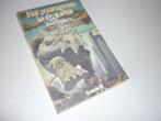 (Fontein SF) Jaap Verduyn: het Pentagram in de Toren, Ophalen of Verzenden, Gelezen