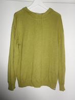 Penn & Ink Groen Truitje Met Capuchon Maat XL, Penn & Ink, Maat 46/48 (XL) of groter, Ophalen of Verzenden, Zo goed als nieuw