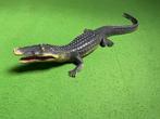Krokodil, Ophalen, Gebruikt, Jongen of Meisje