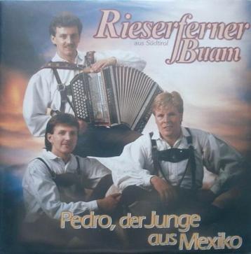 Vinylsingle rieserferner buam  / rieserferner  gezocht  beschikbaar voor biedingen