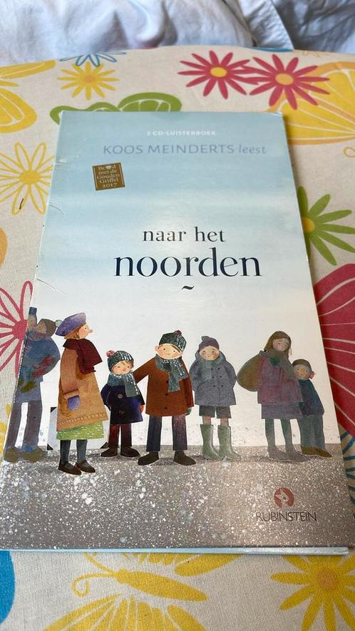 Luisterboek Koos Meinderts - Naar het noorden, Boeken, Kinderboeken | Jeugd | 10 tot 12 jaar, Zo goed als nieuw, Ophalen of Verzenden