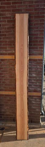 Boomstam plank met schors eventuee als wandplank / decoratie, Doe-het-zelf en Verbouw, Hout en Planken, Ophalen, 25 tot 50 mm