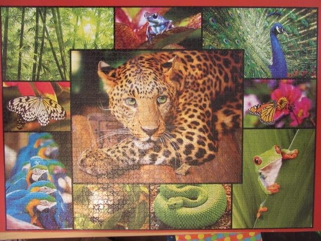 856, legpuzzel FAUNA PANTER SLANG VLINDERS TREFL 3000 st, Ophalen of Verzenden, Meer dan 1500 stukjes, Zo goed als nieuw, Legpuzzel