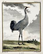 Antieke Litho Kraanvogel uit 1779, Antiek en Kunst, Kunst | Etsen en Gravures, Ophalen of Verzenden