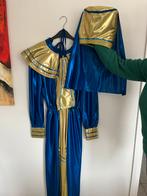 Carnavals kostuum maat 38, Maat 38/40 (M), Carnaval, Ophalen of Verzenden, Zo goed als nieuw