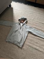 Burberry Vest grijs, stuur bericht voor aankoopbewijs, Kleding | Heren, Truien en Vesten, Ophalen of Verzenden, Gedragen, Overige maten