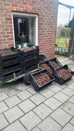 Tame kastanjes vuil geraapt, Doe-het-zelf en Verbouw, Dakpannen en Dakbedekking, Ophalen, Steen of Klei, Zwart, Zo goed als nieuw