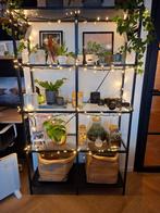 IKEA Vittsjö Stellingkast - kast Zwart met Glas, Huis en Inrichting, Kasten | Stellingkasten, Ophalen, Gebruikt